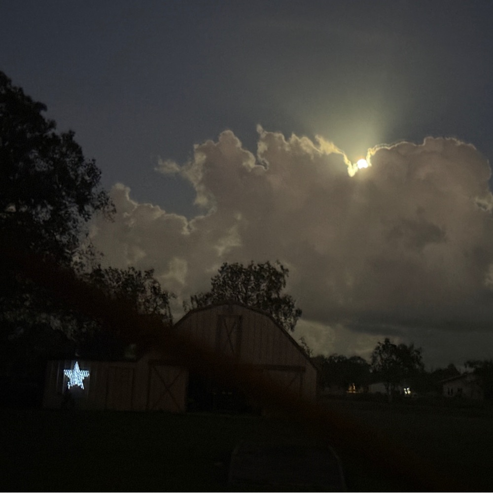 Meet your Posher, Wendy